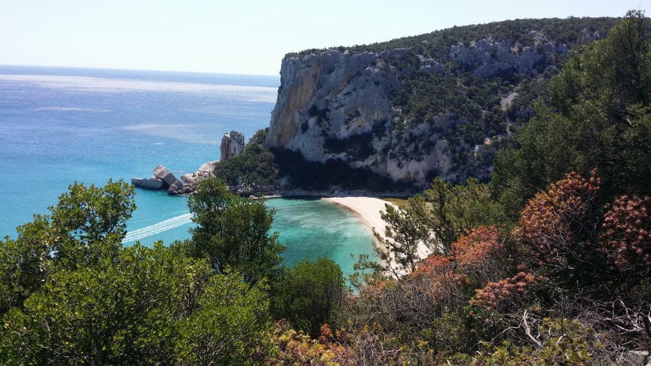Il Giardino All'Angolo Villacidro Luaran gambar