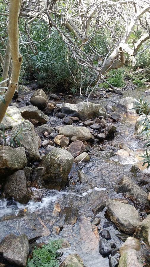 Il Giardino All'Angolo Villacidro Luaran gambar