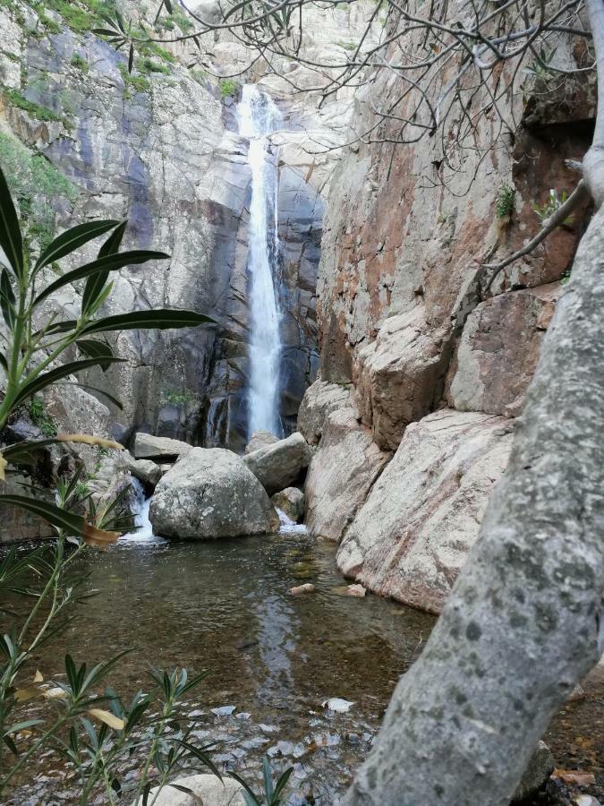 Il Giardino All'Angolo Villacidro Luaran gambar