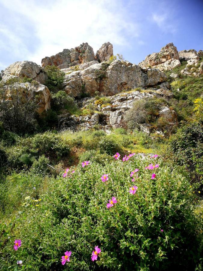 Il Giardino All'Angolo Villacidro Luaran gambar